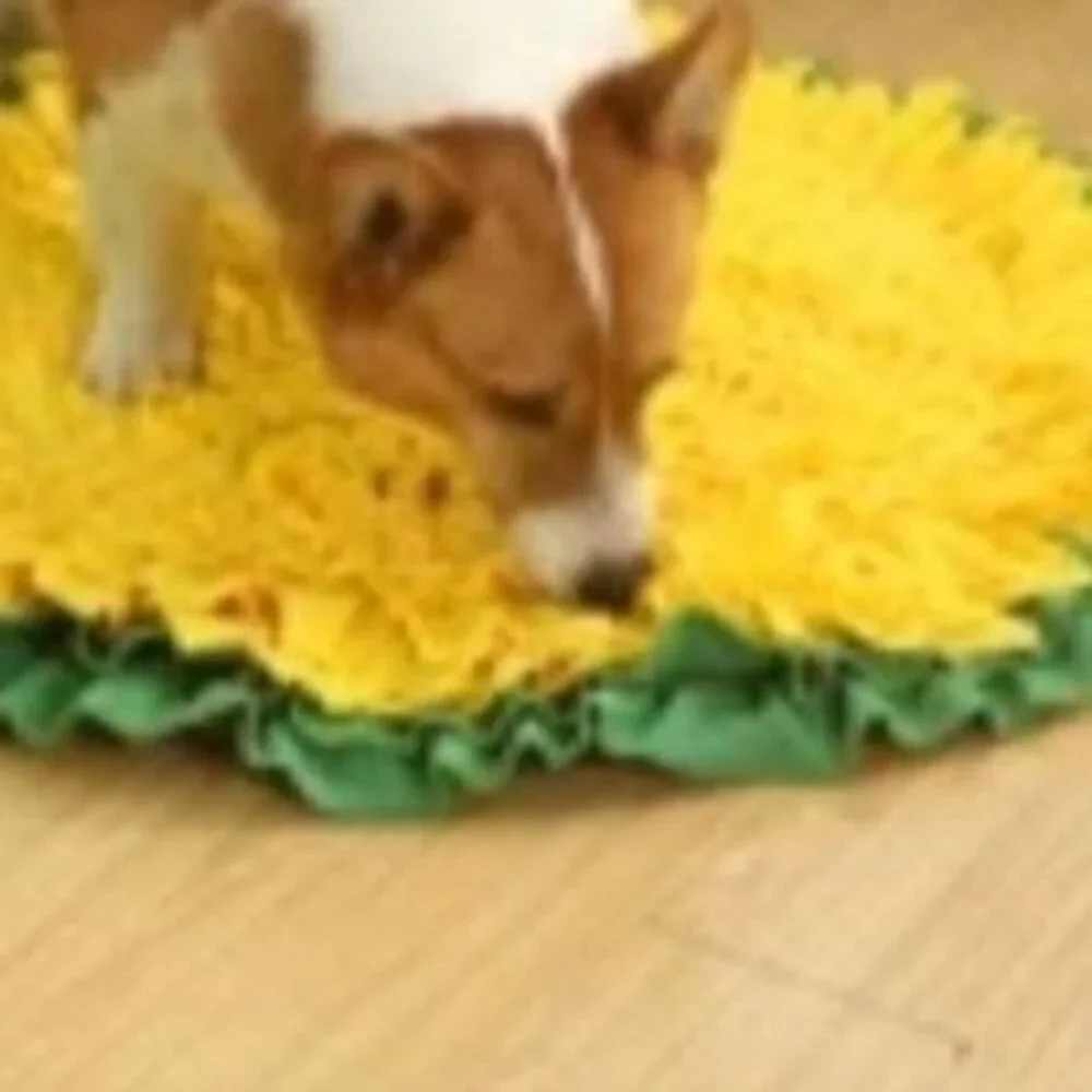 Snuffle Mat Dogs Hunt Mat Mental Stimulation Dog Mat
